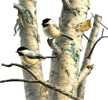 őszi állatok_148.gif